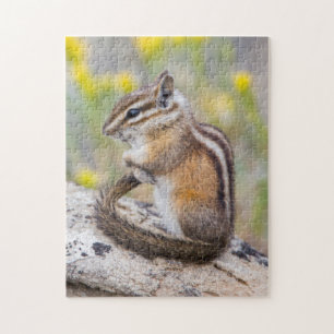 Wyoming, Sublette County, Kleinste Wangzanger Legpuzzel