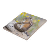 Wyoming, Sublette County, Least Chipmunk Tegeltje (Zijkant)