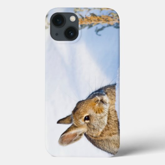 Wyoming, Sublette County, Nuttall's Cottontail 1 Case-Mate iPhone Case (Achterkant)