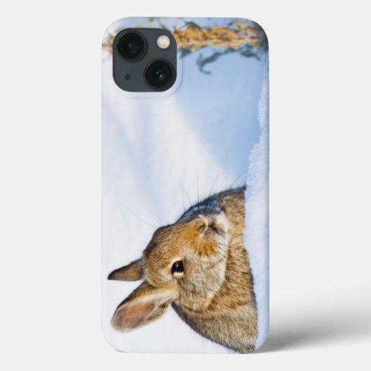 Wyoming, Sublette County, Nuttall's Cottontail Case-Mate iPhone Case (Achterkant)