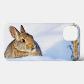 Wyoming, Sublette County, Nuttall's Cottontail Case-Mate iPhone Case (Achterkant (horizontaal))
