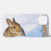 Wyoming, Sublette County, Nuttall's Cottontail Case-Mate iPhone Case (Achterkant (horizontaal))