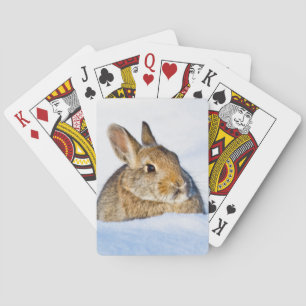 Wyoming, Sublette County, Nuttall's Cottontail Speelkaarten