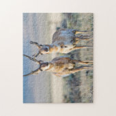 Wyoming, Sublette County, Pronghorn bucks Legpuzzel (Verticaal)