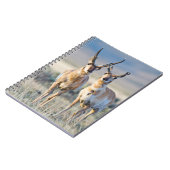 Wyoming, Sublette County, Pronghorn bucks Notitieboek (Linkerzijde)