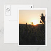 Wyoming Sunrise Briefkaart (Voorkant / Achterkant)