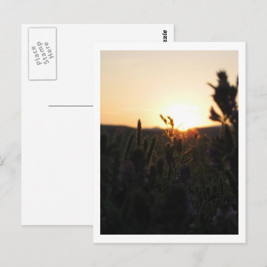 Wyoming Sunrise Briefkaart (Voorkant / Achterkant)