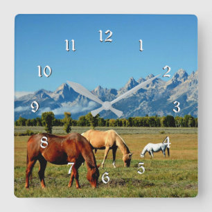 Wyoming, Teton-gebergte, met grazende paarden Vierkante Klok