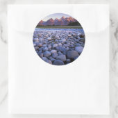 Wyoming, Teton National Park, Snake River Ronde Sticker (Tas)