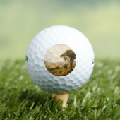 Wyoming Valley, Pennsylvania ( landschap) Golfballen (Insitu Shirt)