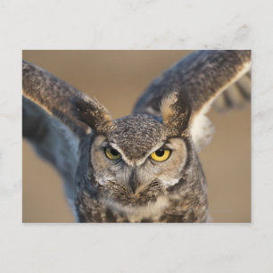 Wyoming, Verenigde Staten Briefkaart