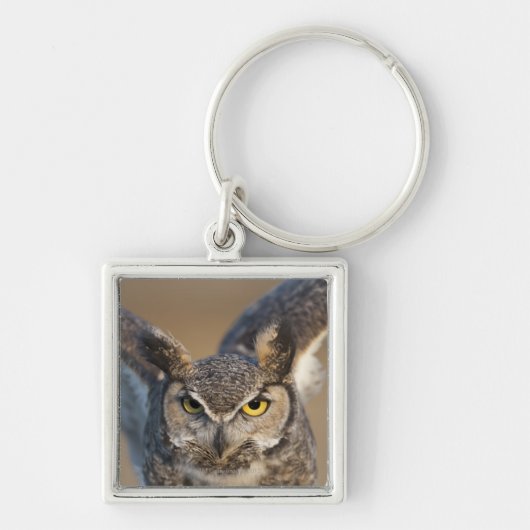 Wyoming, Verenigde Staten Sleutelhanger (Voorkant)