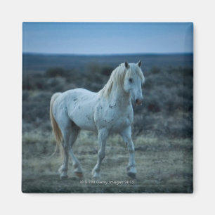 wyoming , verenigde staten van amerika magneet