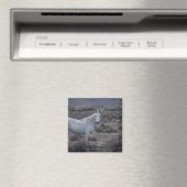 wyoming , verenigde staten van amerika magneet (Insitu (Vaatwasser))