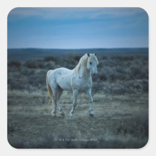 wyoming , verenigde staten van amerika vierkante sticker