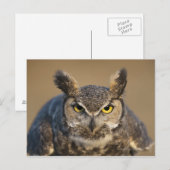 wyoming , vs briefkaart (Voorkant / Achterkant)