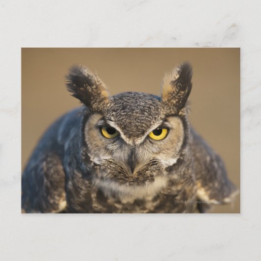 wyoming , vs briefkaart (Voorkant)