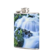 Wyoming. VS. Periodieke lente gedurende de periode Heupfles (Links)