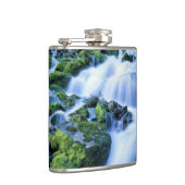 Wyoming. VS. Periodieke lente gedurende de periode Heupfles (Rechts)