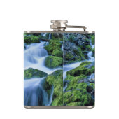 Wyoming. VS. Periodieke lente gedurende de periode Heupfles (Achterkant)