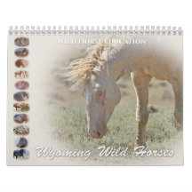 Wyoming wilde paarden