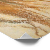 Wyspianski, Helenka, 1900 (1) Poster (Hoek)