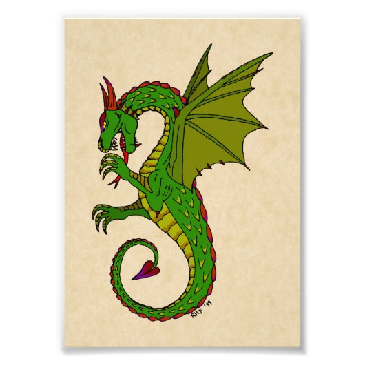Wyvern Foto Afdruk (Voorkant)