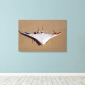 X-48B Onbemande luchtvaartuigen met blanco vleugel Canvas Afdruk (Insitu (Houten vloer))