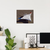 X-48B Onbemande luchtvaartuigen met blanco vleugel Poster (Thuiskantoor)