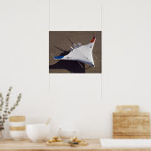 X-48B Onbemande luchtvaartuigen met blanco vleugel Poster (Keuken)