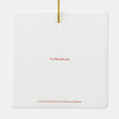 X: Het Plentiful Lake Ceramic Ornament (Achterkant)