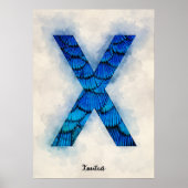 X is voor Xantus Poster (Voorkant)