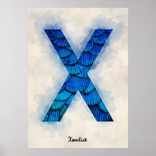 X is voor Xantus Poster (Voorkant)