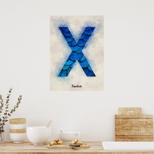 X is voor Xantus Poster (Keuken)
