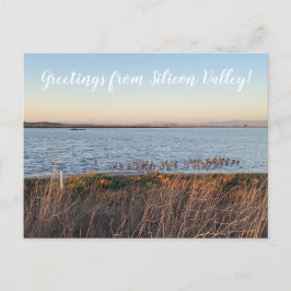 X.ITINERARIES: Groeten uit Silicon Valley! Post Briefkaart