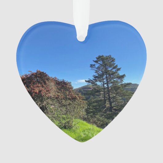 X.ITINERARIES: SF's Pieken Ornament (voorkant)