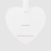 X.ITINERARIES: SF's Pieken Ornament (achterkant)