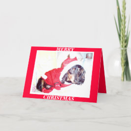 X MAS CHRISTMAS-KAARTEN - HEIDI PUP - DASCHUND MIN FEESTDAGEN KAART