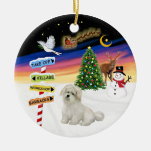 X Mas Tekens- Coton de Tulear Keramisch Ornament