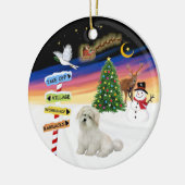 X Mas Tekens- Coton de Tulear Keramisch Ornament (Links)