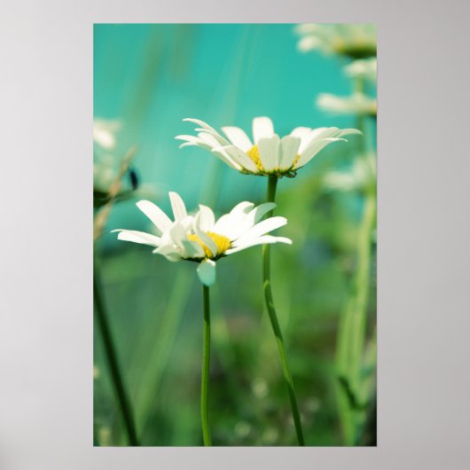 x-positie 01 poster (Voorkant)