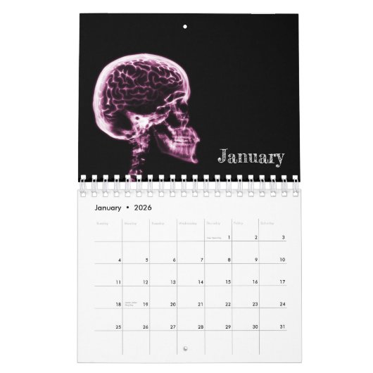 X-Ray Art Calendar 3 - Roze Kalender (Jan 2026)