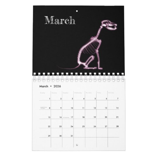 X-Ray Art Calendar 3 - Roze Kalender (Mar 2026)