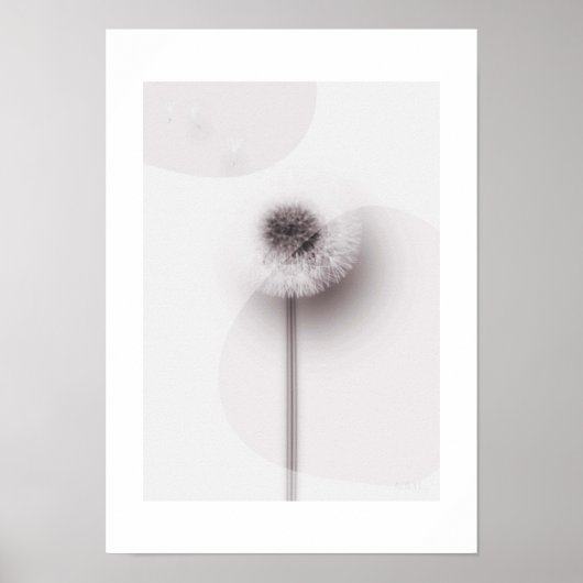 X-ray Botanical Art - Dandelion Poster (Voorkant)