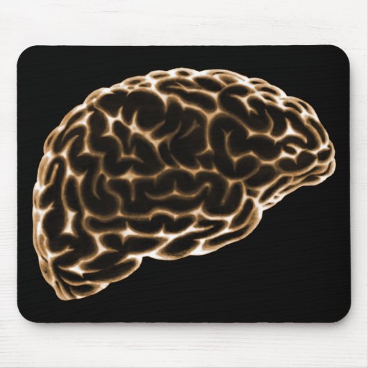 X-RAY BRAIN SIDE UITZICHT SINAASAPPEL MUISMAT (Voorkant)