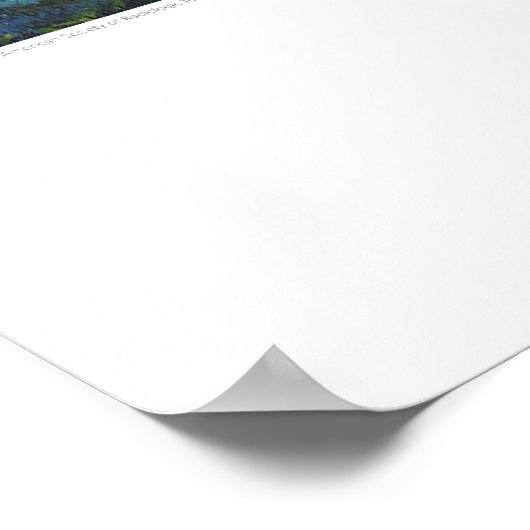 X-ray Hoesje kunst - Renal Lilypads van L. Rainey Poster (Hoek)