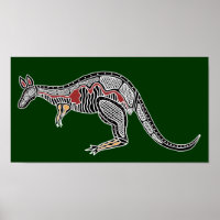X-Ray Kangaroo
