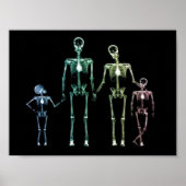 X-Ray Mijn familie Poster (Voorkant)