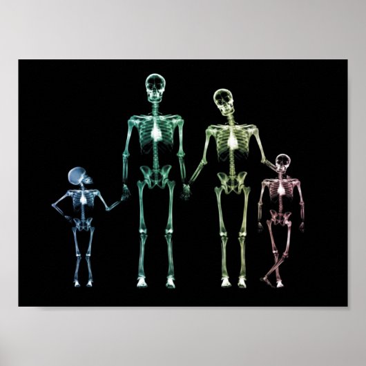 X-Ray Mijn familie Poster (Voorkant)