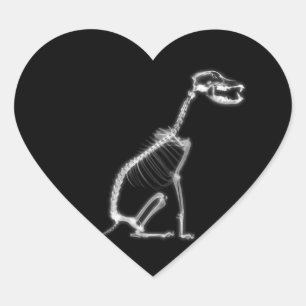 X-RAY PUPPY DOG SKELETON-SITTING - B&W HART STICKER